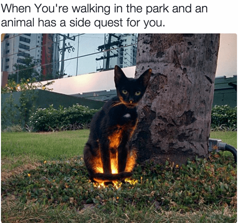walking-park-and-an-animal-has-side-quest