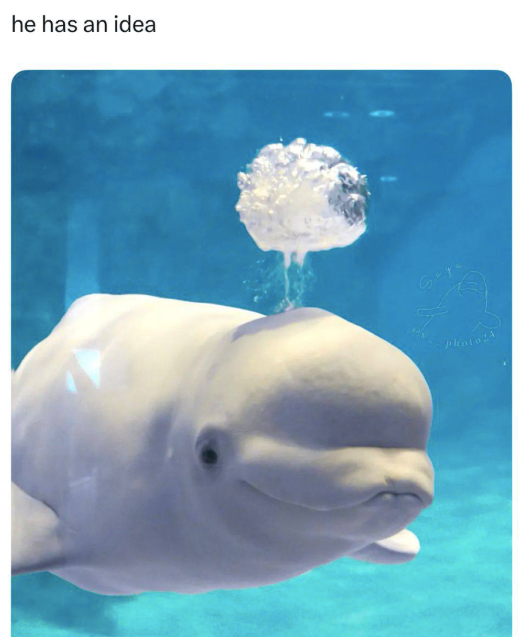 he-has-an-idea-photo24