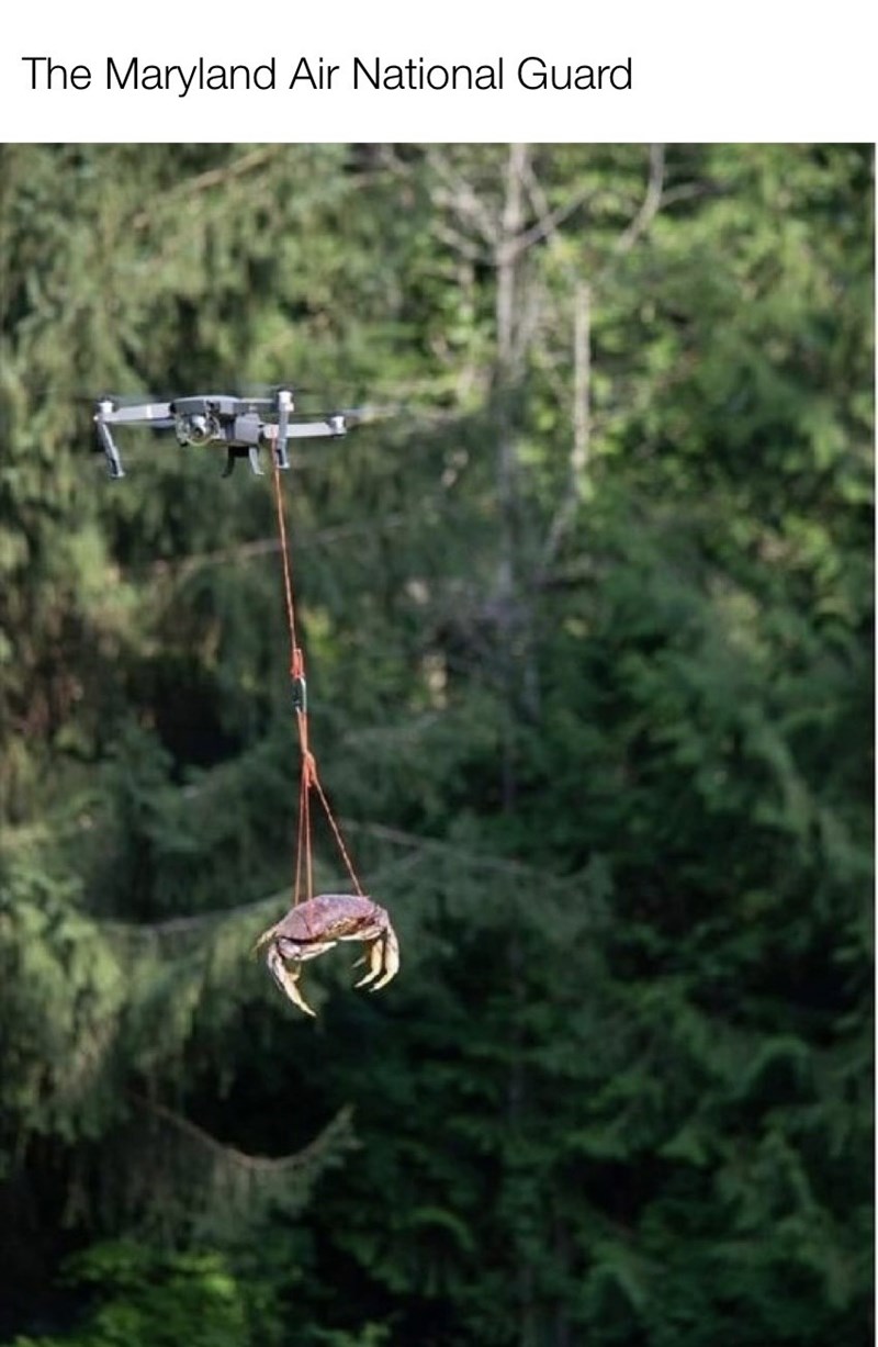 maryland-air-national-guard