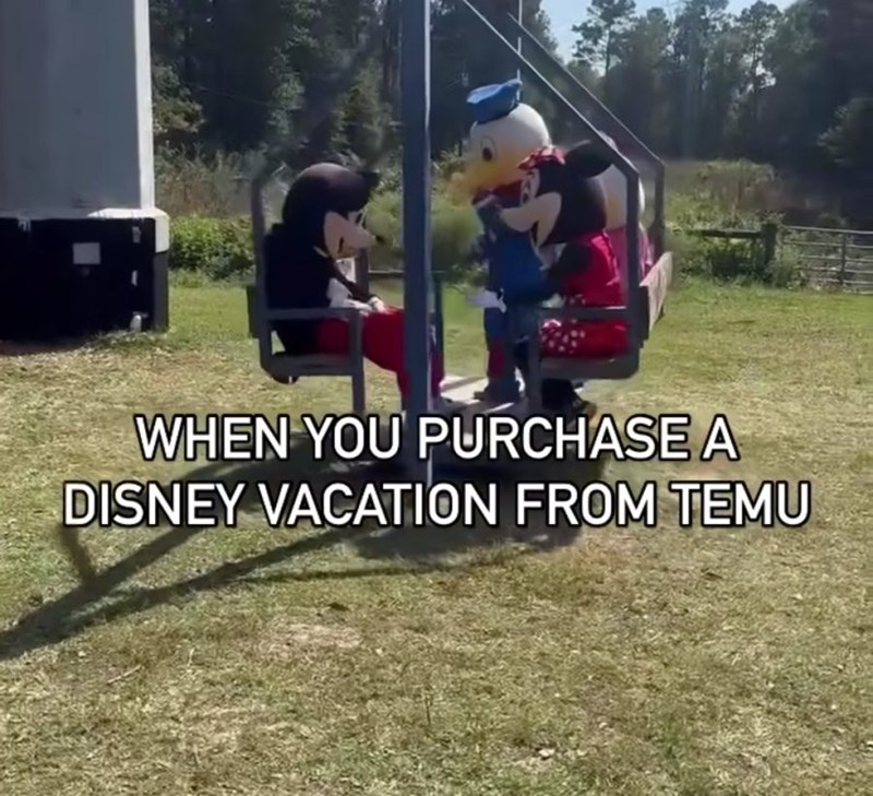 purchase-disney-vacation-temu