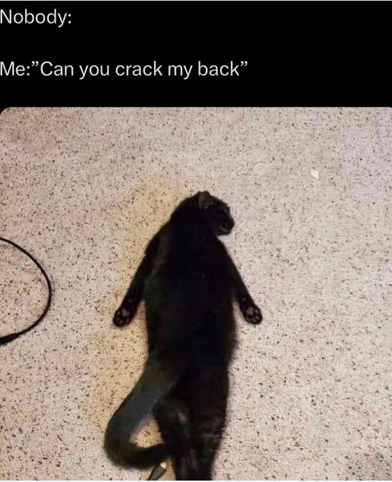 nobody-can-crack-my-back