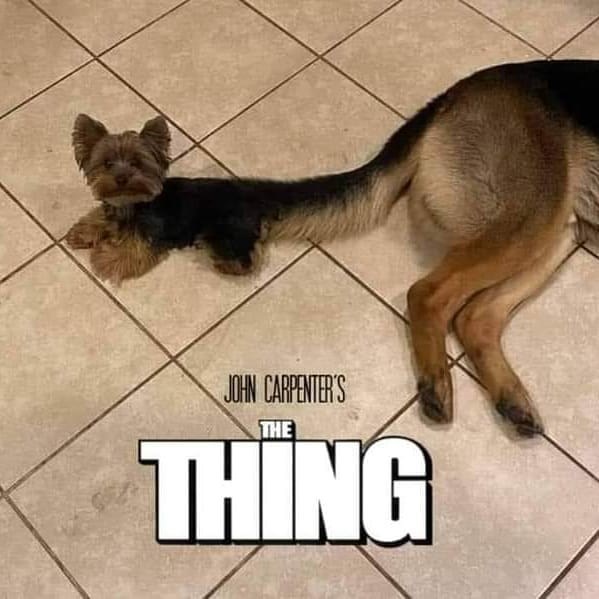 dog-john-carpenters-thing