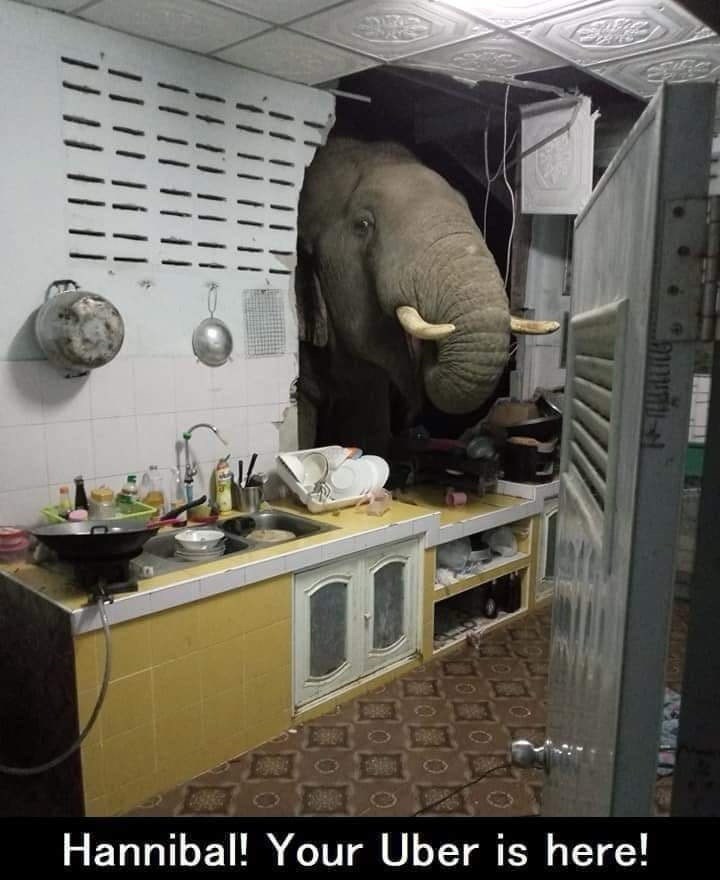 hannibal-uber-is-here