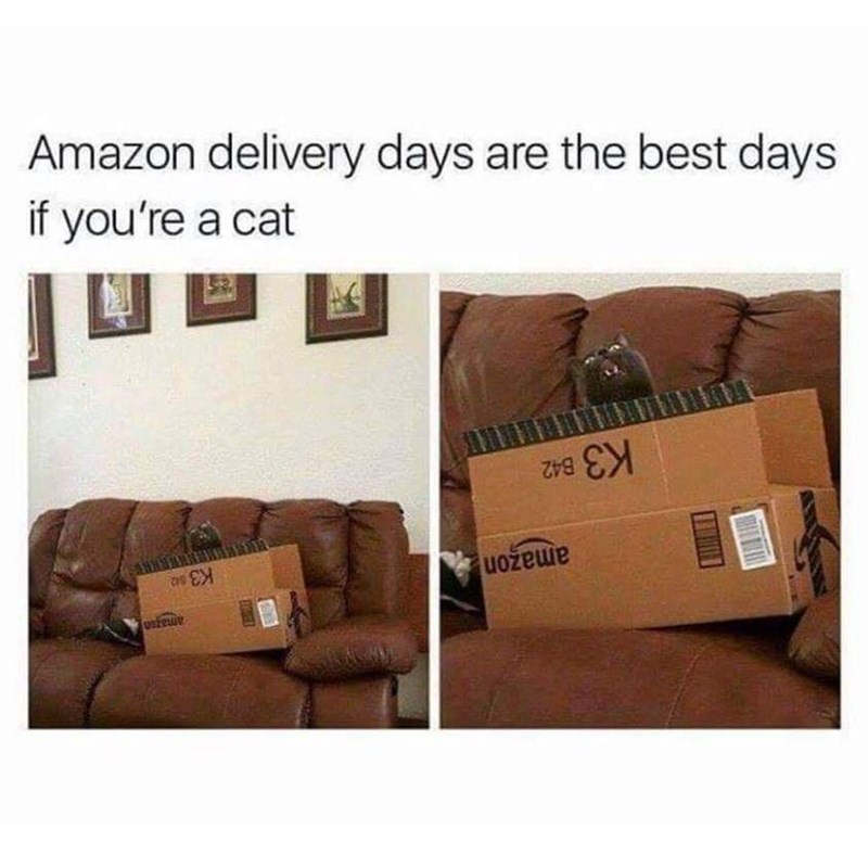 amazon-delivery-days-are-best-days-if-cat-usfetur