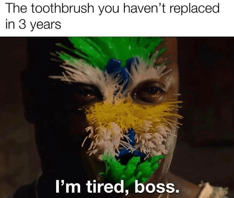 toothbrush-havent-replaced-3-years-tired-boss