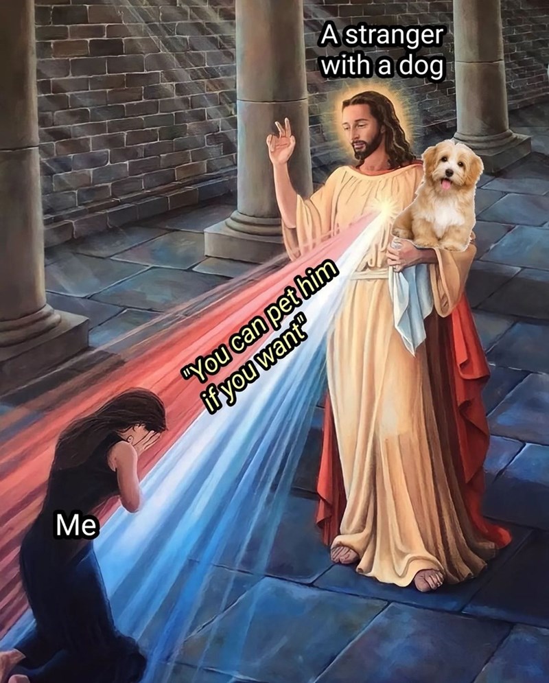 can-pet-him-if-want-stranger-with-dog