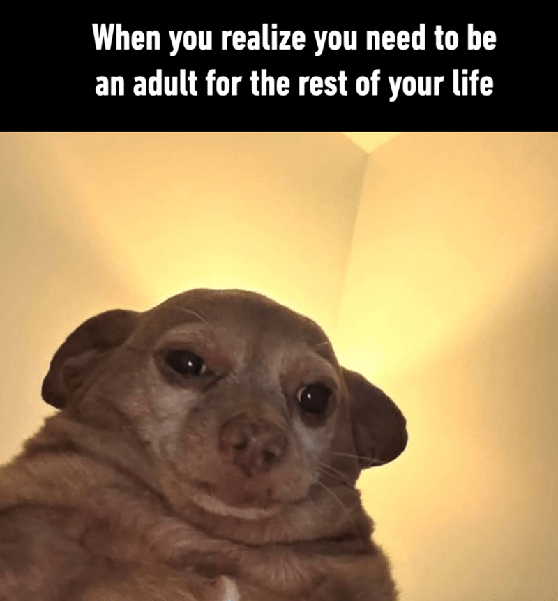 realize-need-be-an-adult-rest-life