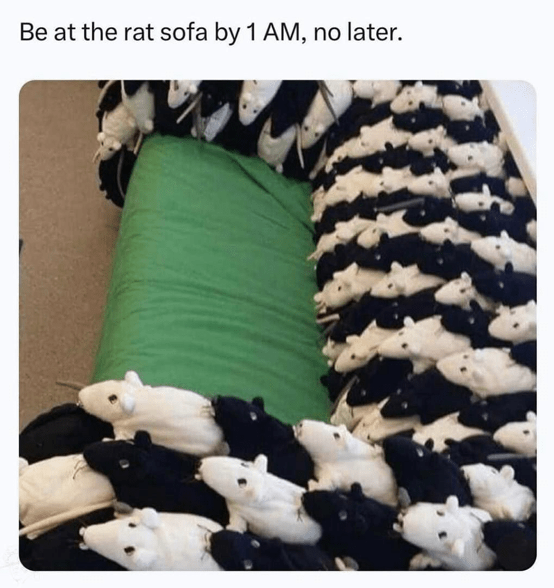 be-at-rat-sofa-by-1-am-no-later