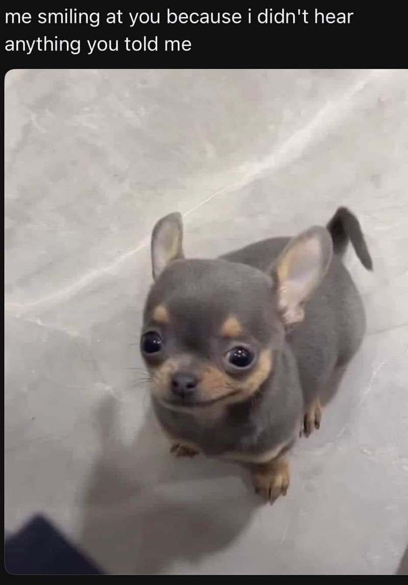 smiling-at-because-didnt-hear-anything-told