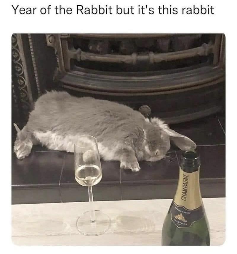 year-rabbit-but-s-this-rabbit-champagne