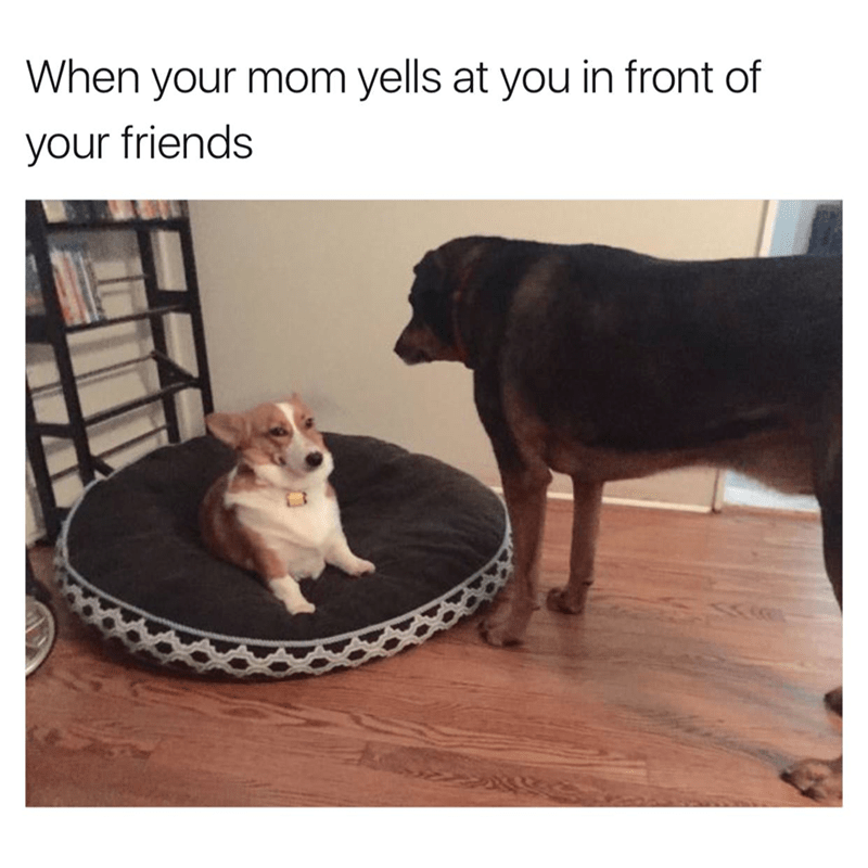 mom-yells-at-front-friends