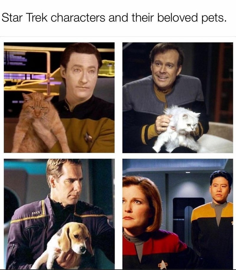 star-trek-characters-and-their-beloved-pets