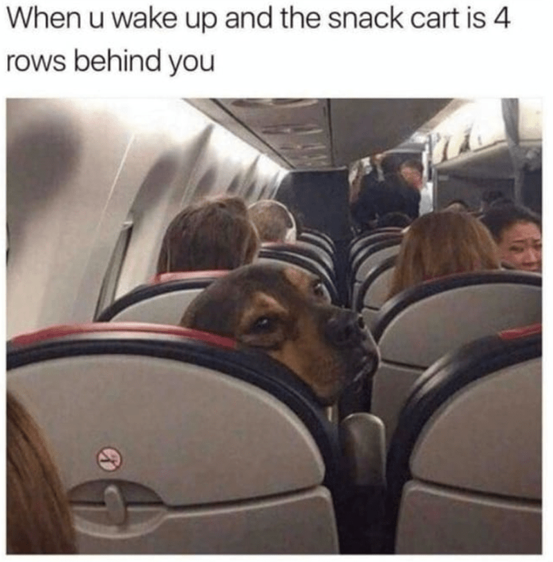 u-wake-up-and-snack-cart-is-4-rows-behind