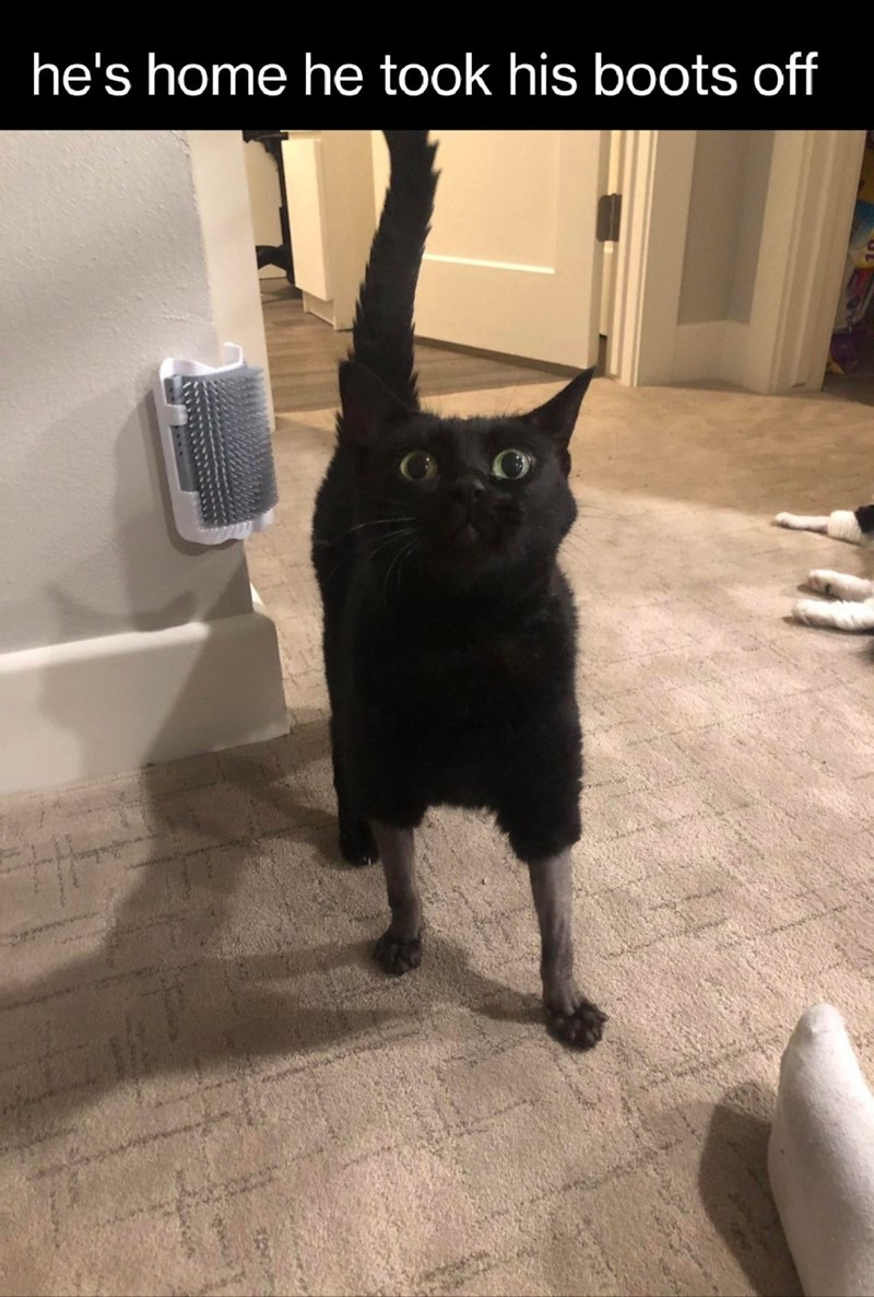 hes-home-he-took-his-boots-off