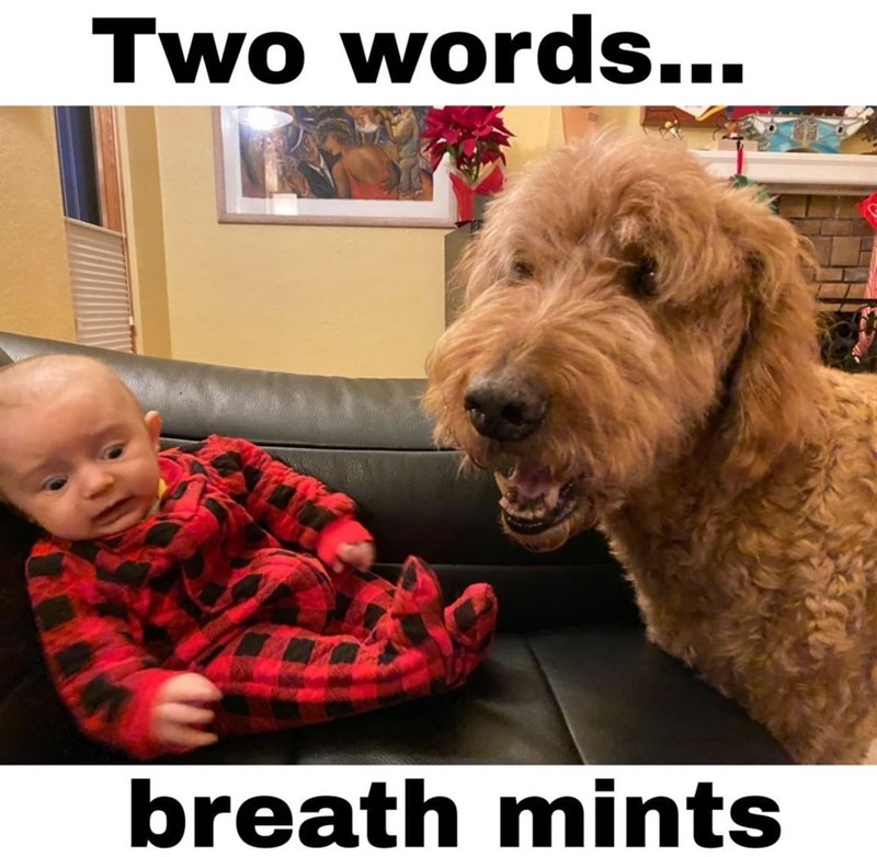two-words-breath-mints