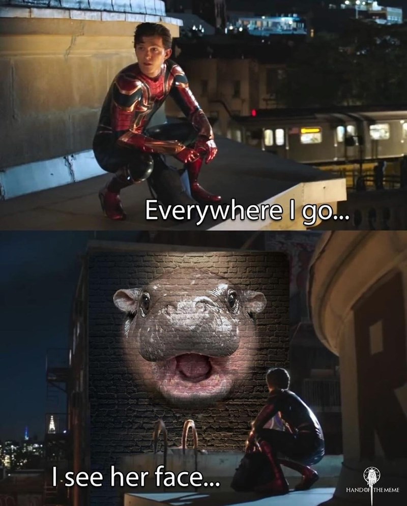 everywhere-go-see-her-face-handof-meme