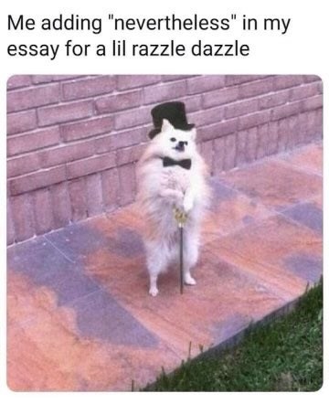 adding-nevertheless-my-essay-lil-razzle-dazzle