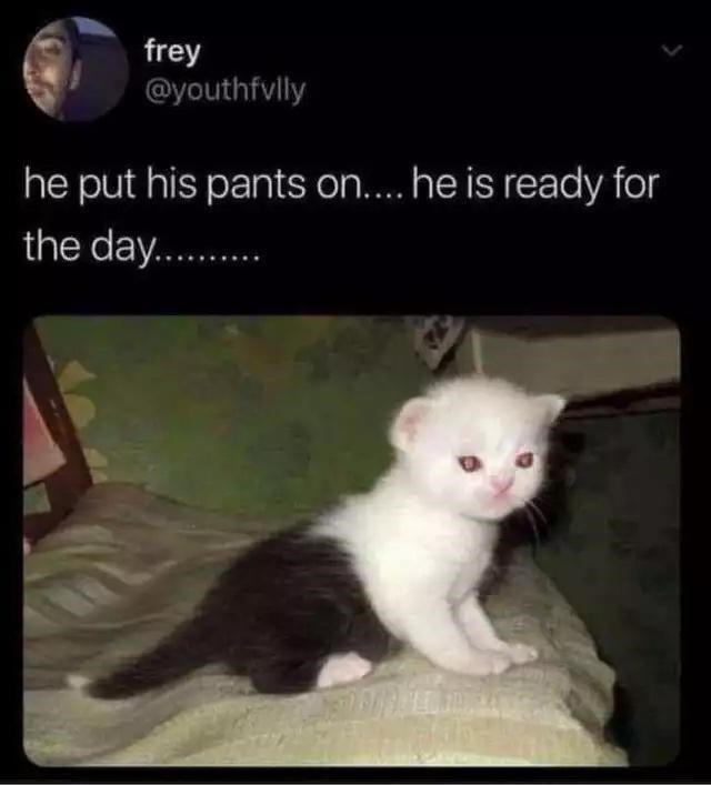 frey-youthfvlly-he-put-his-pants-on-he-is-ready-day