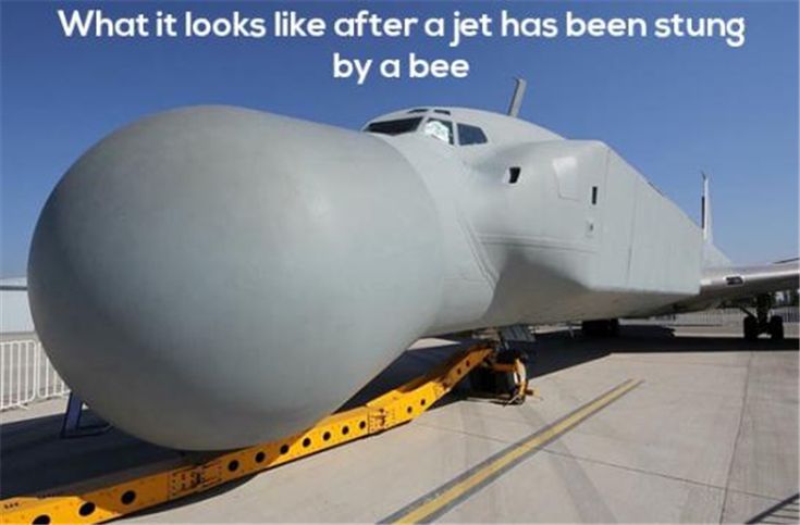 b519bf0c3ccba31511edaab1f6048bb2--airplanes-funny-photos.jpg