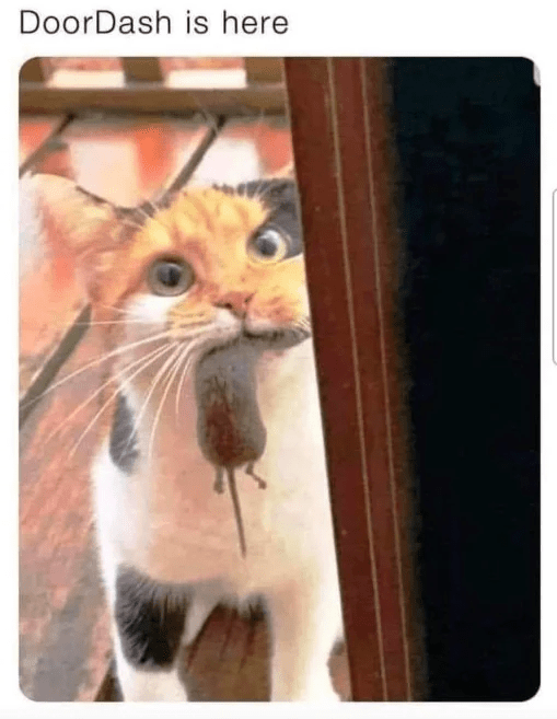 doordash-is-here