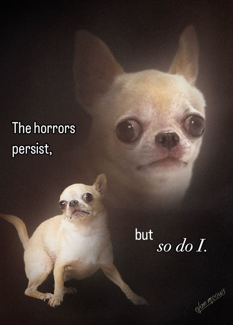 horrors-persist-but-so-do-olan-meows