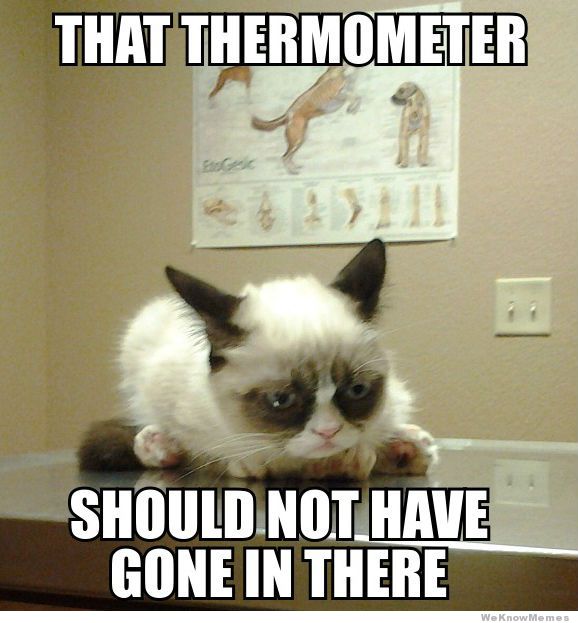 That-Thermometer.jpg