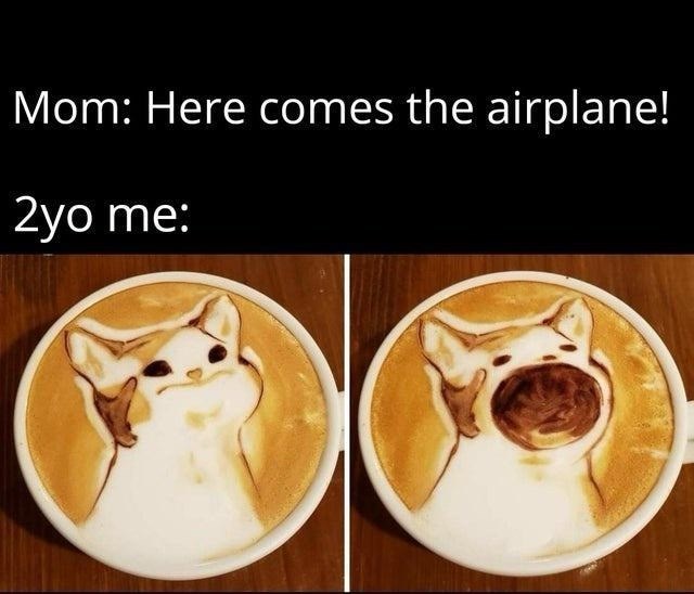 mom-here-comes-airplane-2yo