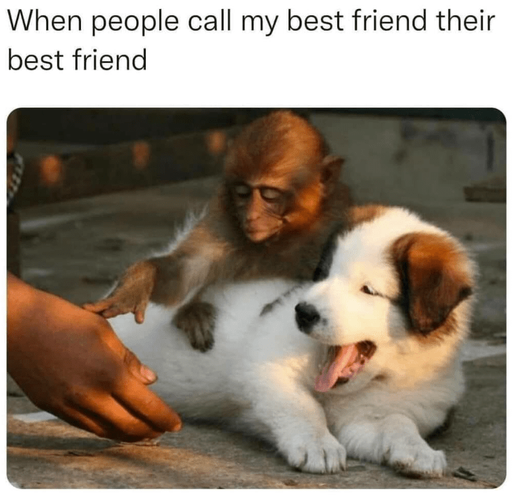 people-call-my-best-friend-their-best-friend