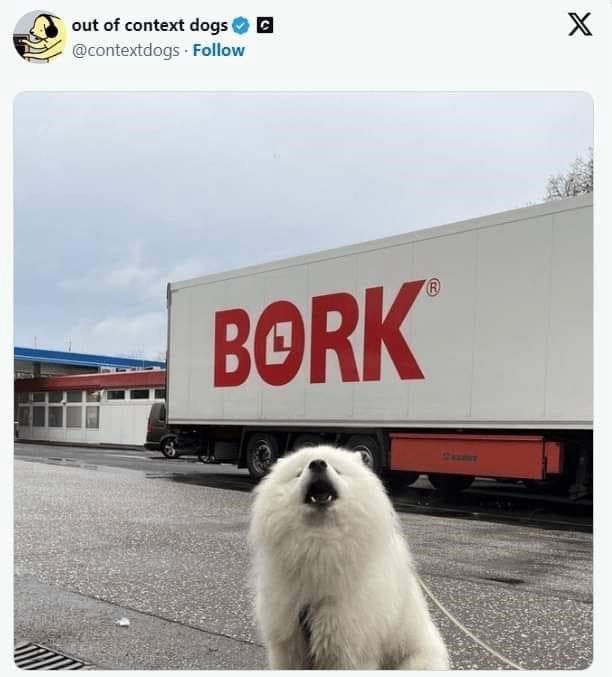 out-context-dogs-c-contextdogs-follow-x-bork