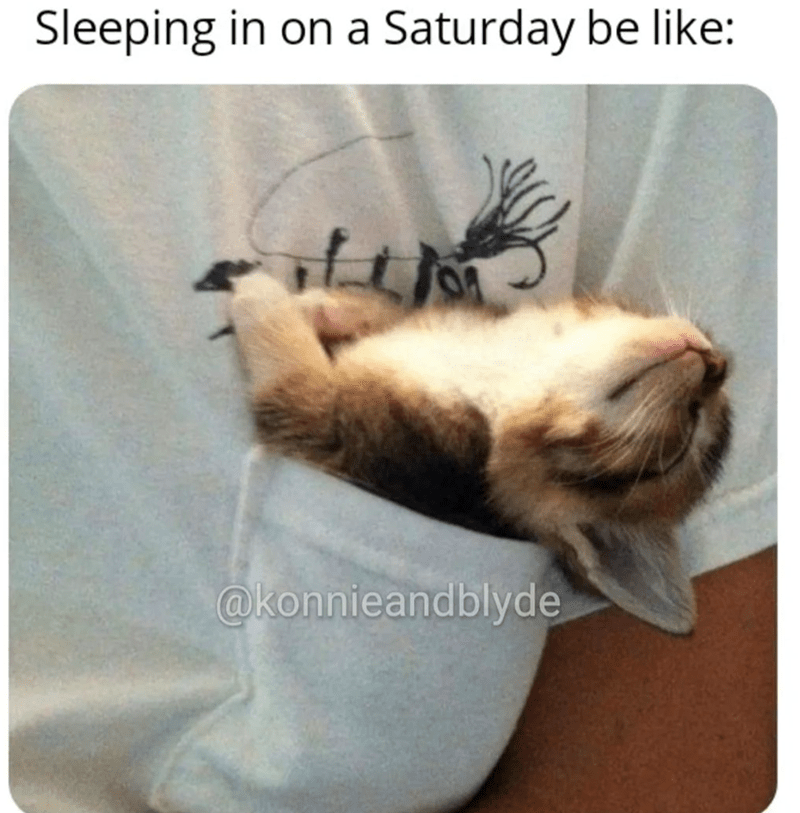 sleeping-on-saturday-be-like-konnieandblyde