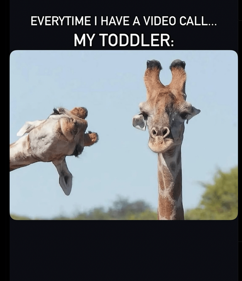 everytime-have-video-call-my-toddler