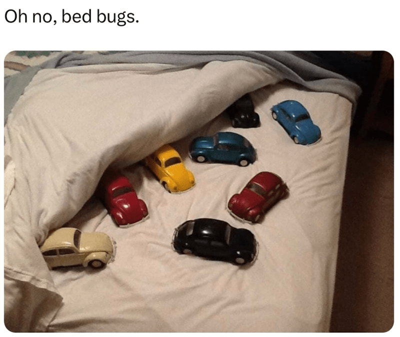 oh-no-bed-bugs