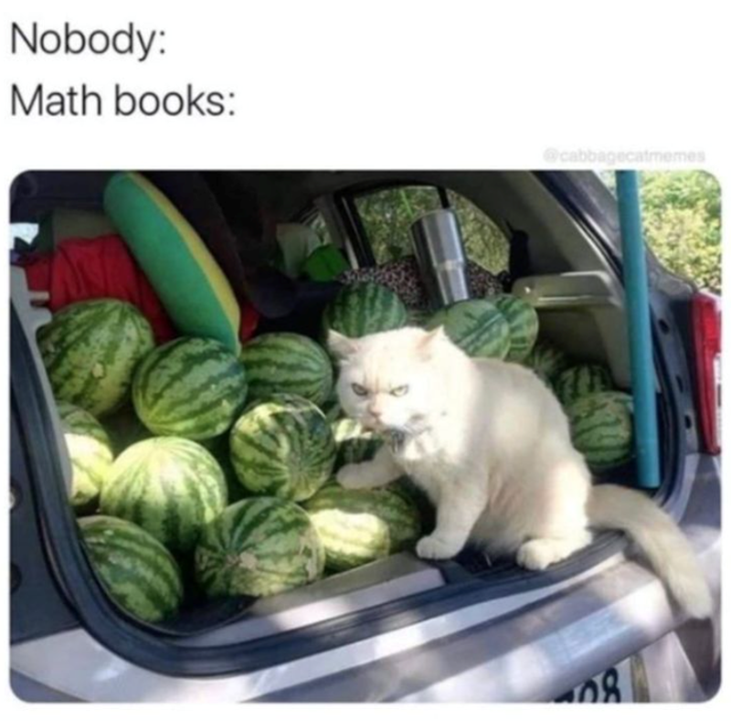 nobody-math-books-cabbagecatmemes-8-741