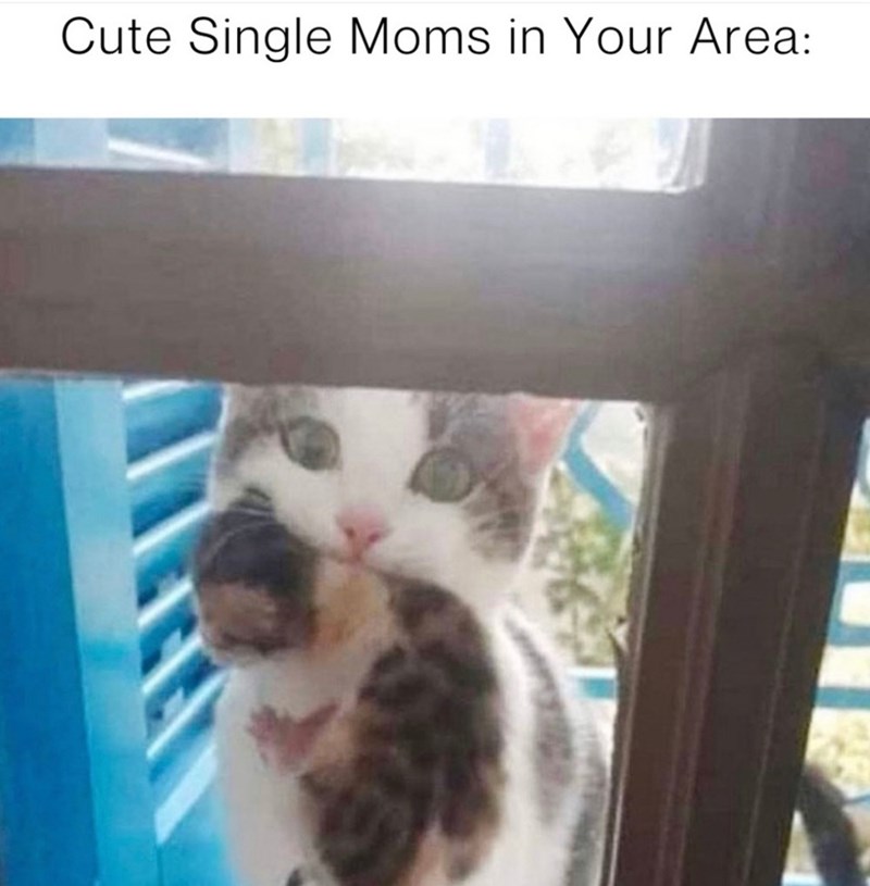 cute-single-moms-area