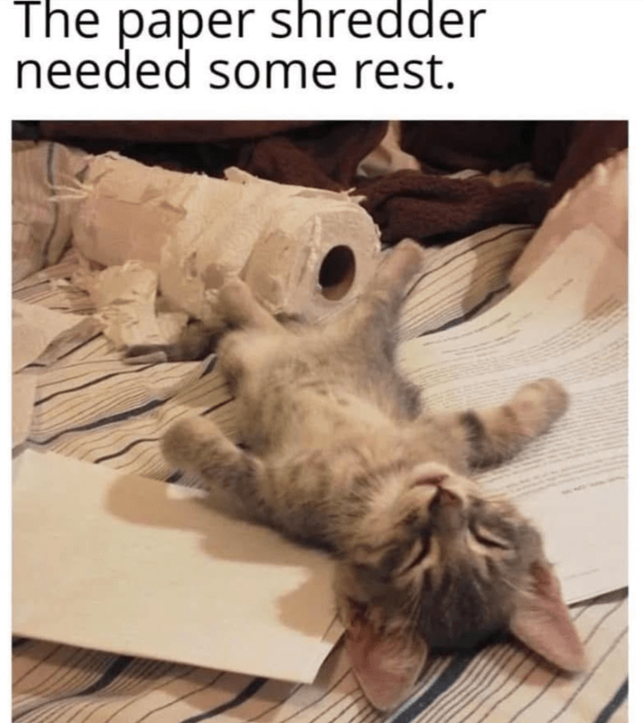 paper-shredder-needed-some-rest
