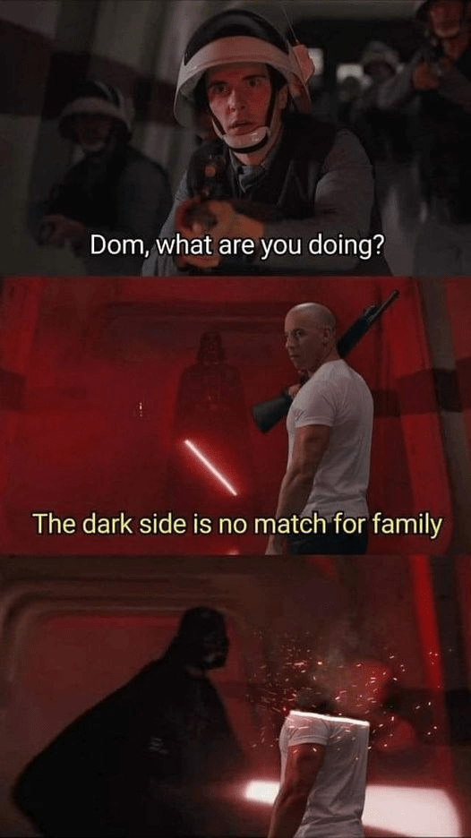 dom-are-doing-dark-side-is-no-match-family