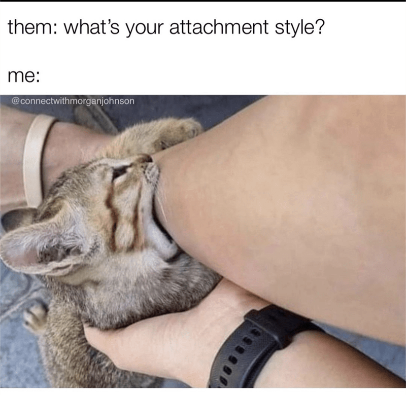them-s-attachment-style-connectwithmorganjohnson