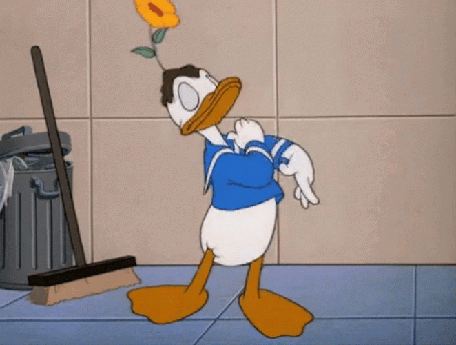 donald-duck-bowing-hfuppyabg138fxq7.gif
