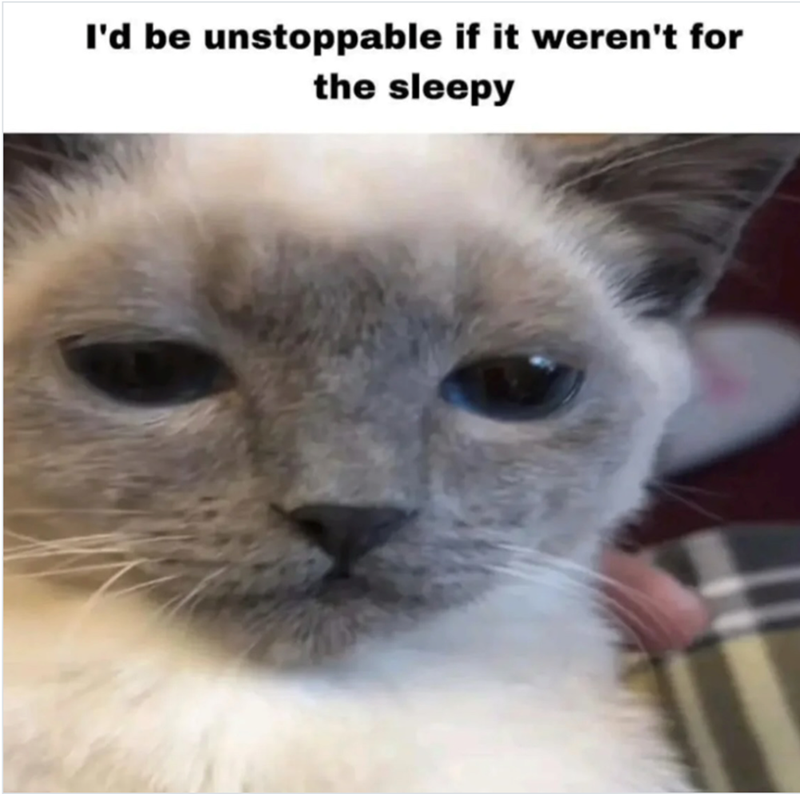 be-unstoppable-if-werent-sleepy