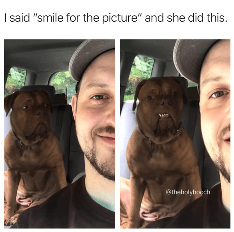 said-smile-picture-and-she-did-this-theholyhooch