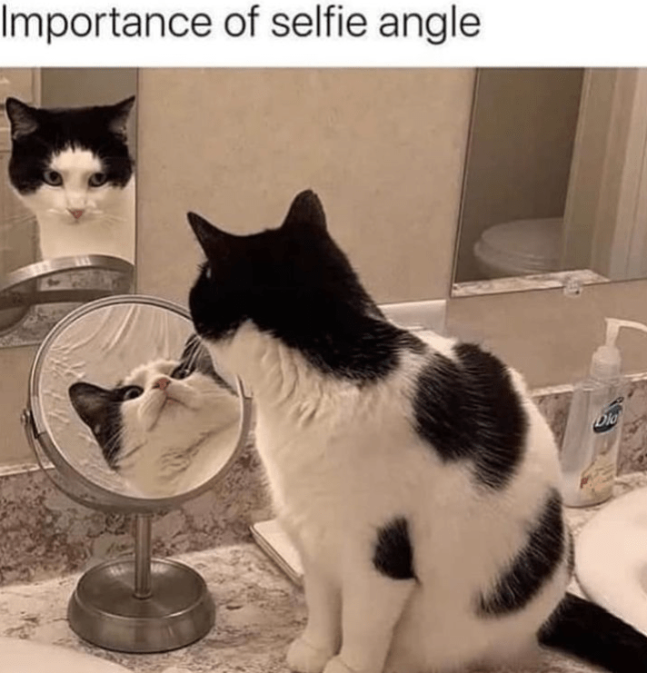 importance-selfie-angle-dio