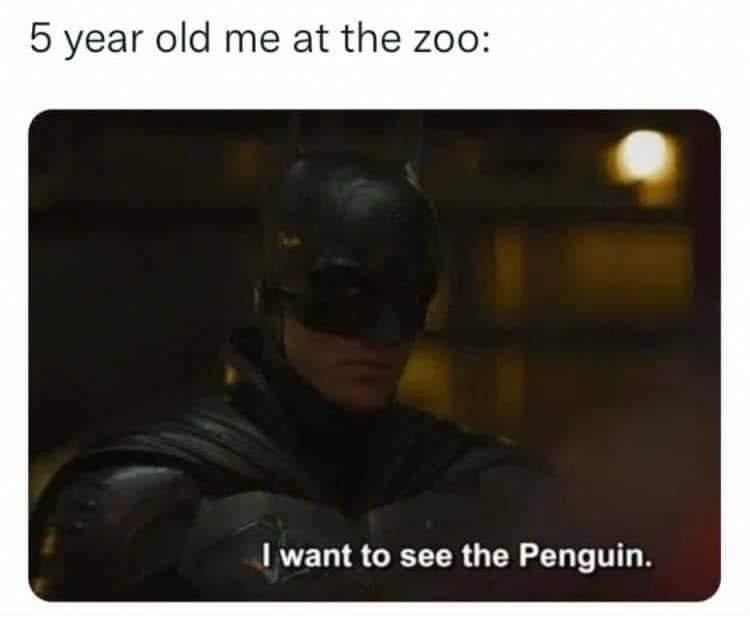 5-year-old-at-zoo-want-see-penguin