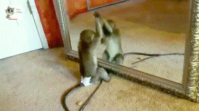 the-first-time-the-reflection-won