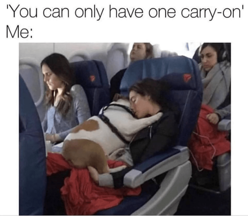 can-only-have-one-carry-on