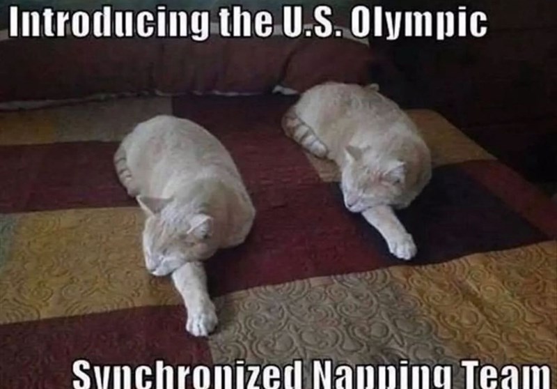 introducing-us-olympic-synchronized-nanning-team