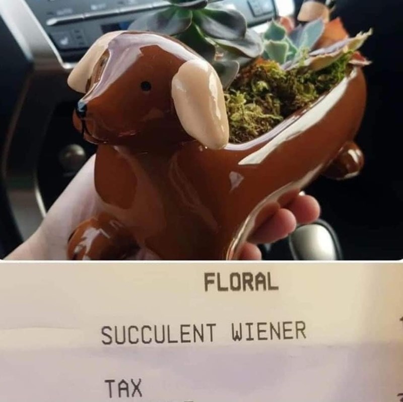 floral-succulent-wiener-tax
