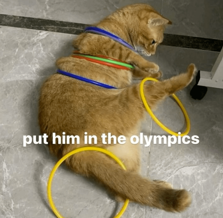 put-him-olympics