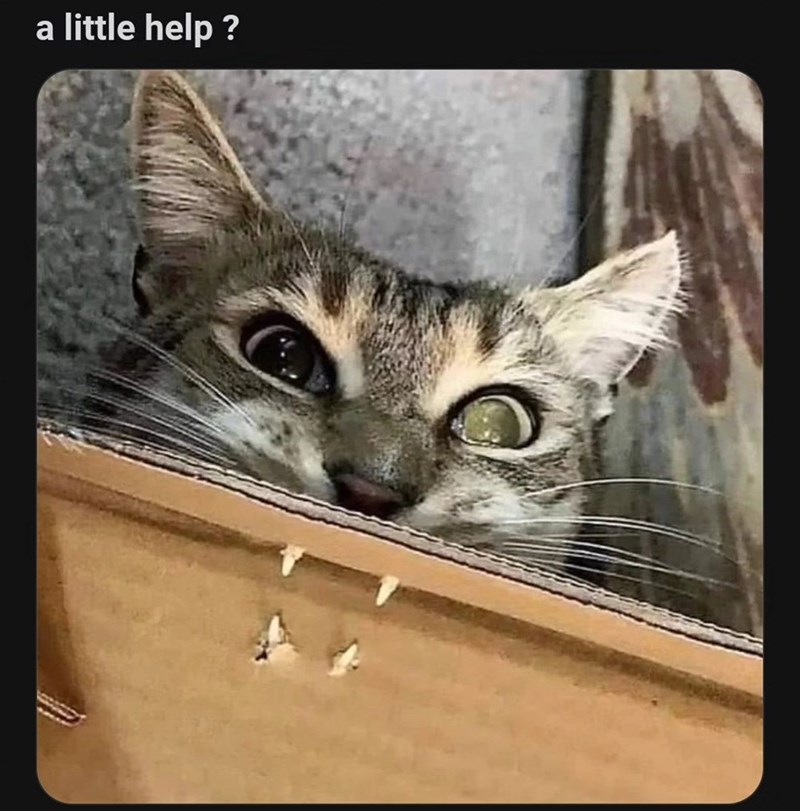 little-help