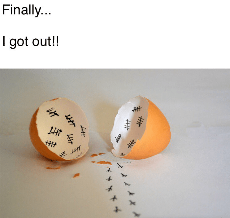 finally-got-out-h-17