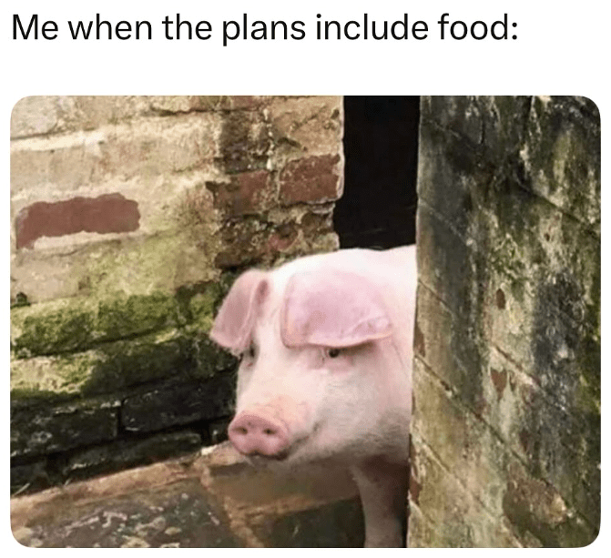 plans-include-food